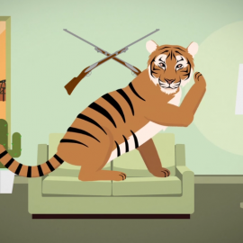 The Jungle Book – Get Fact Animation